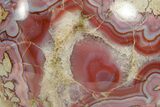 Colorful Polished Banded Agate Nodule - Utah #373509-2
